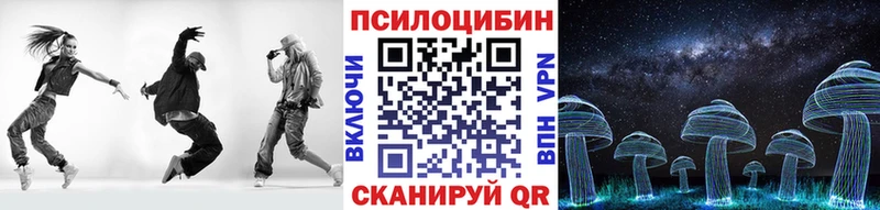 Псилоцибиновые грибы Psilocybe  Валуйки 